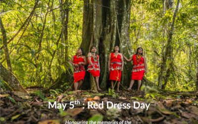 National Day of Awareness for Missing and Murdered Indigenous Women, Girls, and 2SLGBTQI+ people (MMIWG2S)